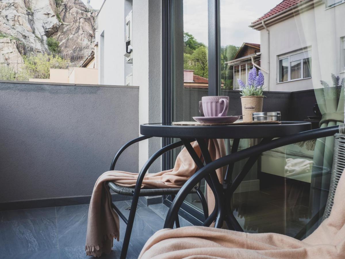 Stylish 1Bd - Free Private Garage Lejlighed Plovdiv Eksteriør billede